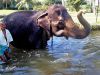 sri_lanka_094.JPG