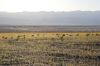 DeathValley-stovepipewells.jpg
