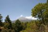 Popocatepetl-forests.jpg