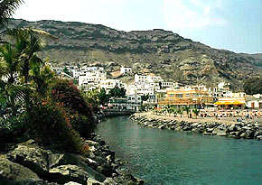 kanary18.jpg