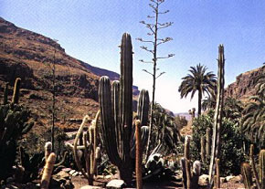 Palmitos Parque